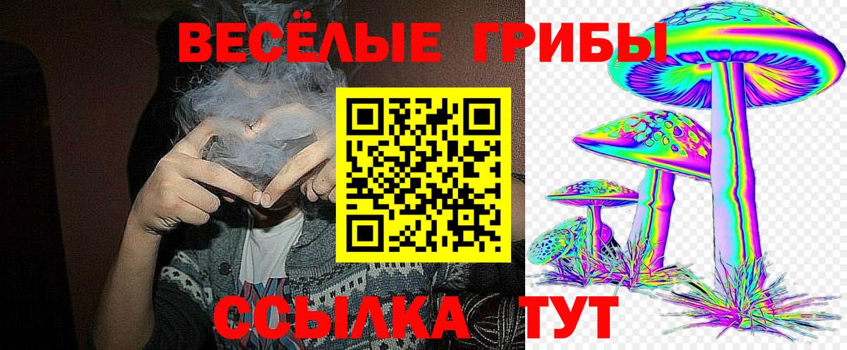 Галлюциногенные грибы прущие грибы Надым