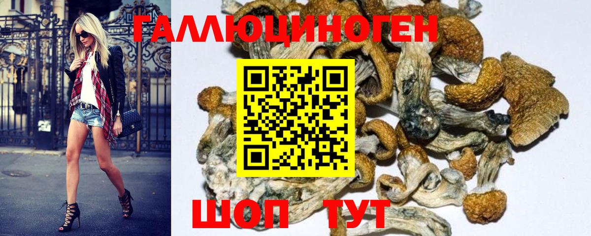 Галлюциногенные грибы прущие грибы  Псилоцибиновые грибы Psilocybe  Вход с VPN  Надым 
